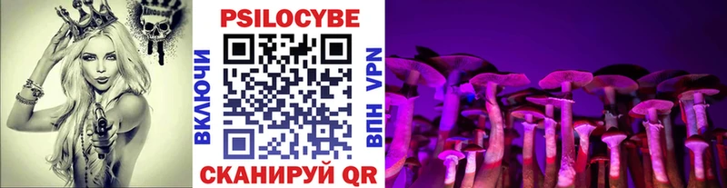 Псилоцибиновые грибы Psilocybe  Челябинск 