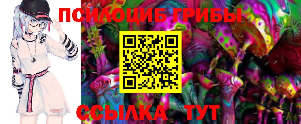 Челябинск  закладка  Вход с VPN  Галлюциногенные грибы прущие грибы 