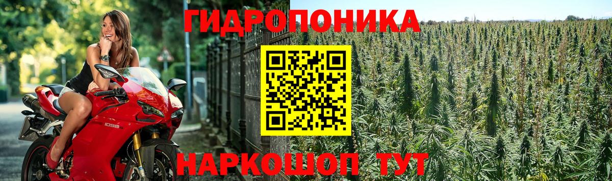 Шишки марихуана план  Вход с VPN  Конопля Amnesia  Бошки Шишки VHQ  Челябинск  Шишки марихуана планчик 